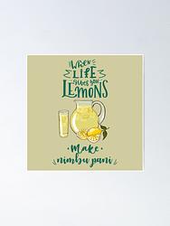 When Life give you Lemons make Nimbu Paani